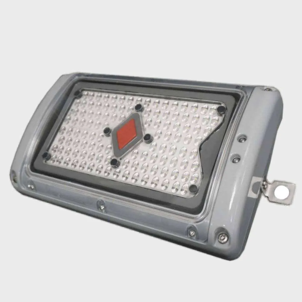 Dialight Safesite Bulkhead